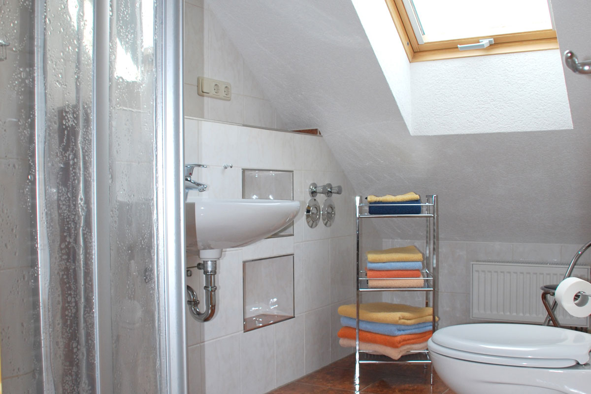 Panoramasuite - Badezimmer mit Dusche und WC
